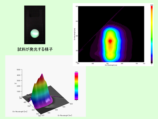 蛍光-受託依頼分析イメージ