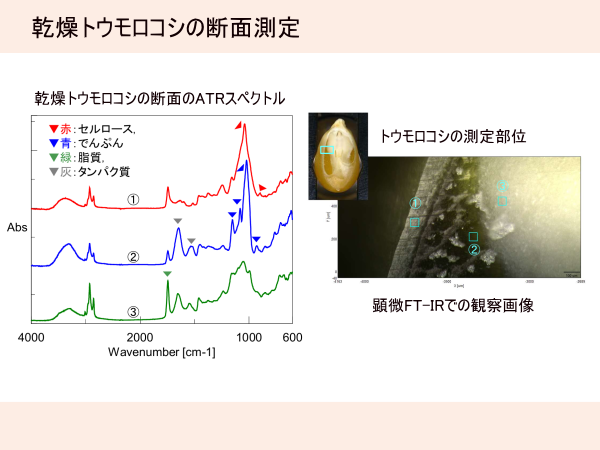 FT-IR-受託依頼分析イメージ