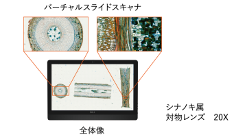 M8 バーチャルスライドスキャナ機能